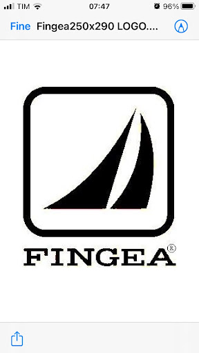 FINGEA S.p.A. - Thumbnail