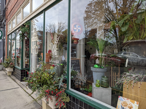 Lavender Hill - Visual