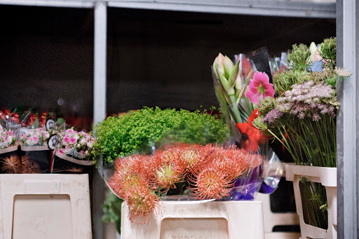 Kwoka Blumen Handels-GmbH