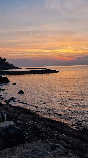 Al Pilone - Visual