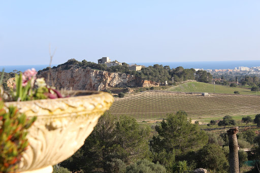 Can Mallorca