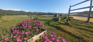 Photo n°12 de Les écuries du cap à Boudrac (Centre équestre)