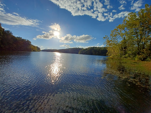 Indian-Celina Lakes North Face Campground - Thumbnail