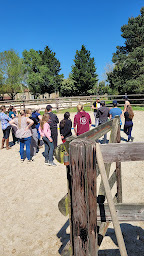 Photo n°10 de Poney club des retrouvailles à Voulême (Centre équestre)