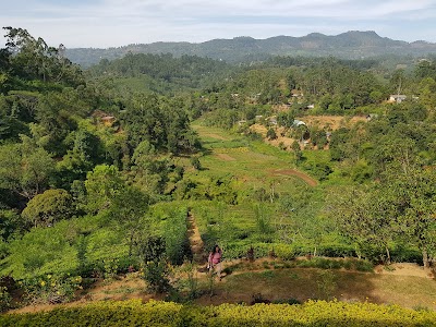 Photos of Mecury House Holiday Bungalow