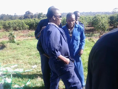 Photos of Kimathi University Wildlife Conservancy