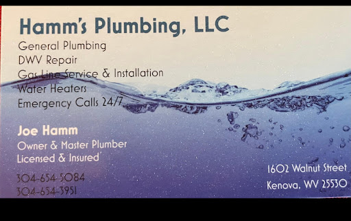Hamm's Plumbing - Visual