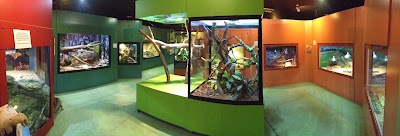Photos of Canberra Reptile Zoo