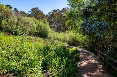 Glen Canyon Park