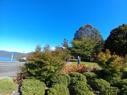 RealNZ - Head Office - Thumbnail