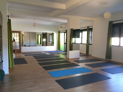 Photos of Tirana Yoga