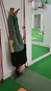 Surya Yoga Center – By owner in Hisar, Haryana
