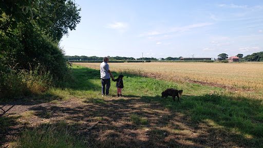 Far Shires Farm - Thumbnail
