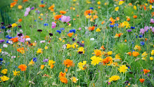 Photo n°12 de Ferme de la Ruette à Cauvicourt (Chambre d'hôtes)