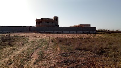 Photos of مزرعة رمضان ابو دربالة