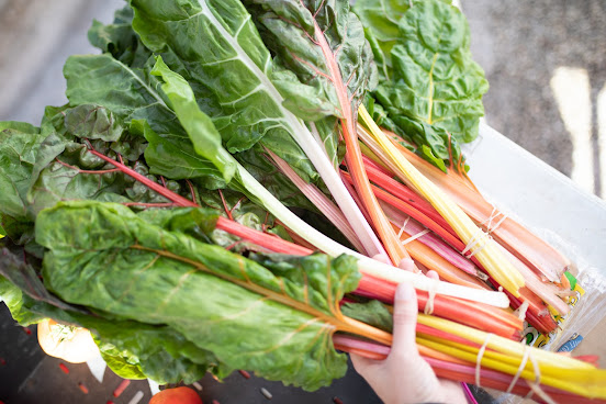 Texas Farmers' Market at Lakeline by null