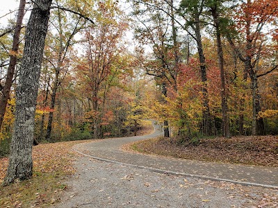 Colorblind Viewfinder - Fall Creek Falls State Park