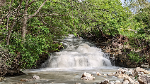 Farrington Reserve - Visual