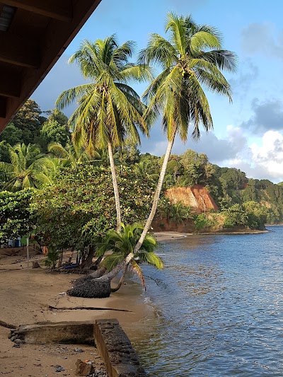 Photos of Veranda View Guest House