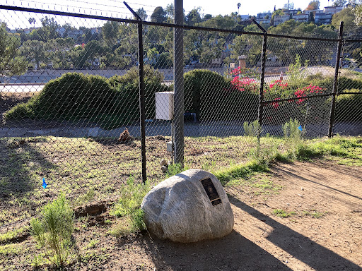 Tesla Pocket Park - Thumbnail