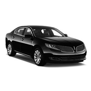 Nice Limousine Service photo