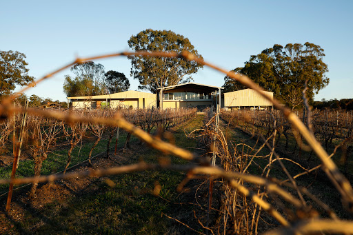 David Hook Wines