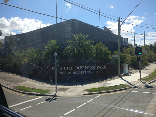 Potts Park Greyhounds Gallery - Australia