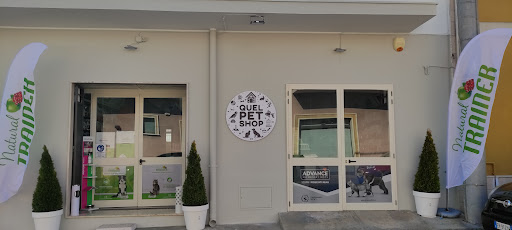 Quel Pet Shop - Visual