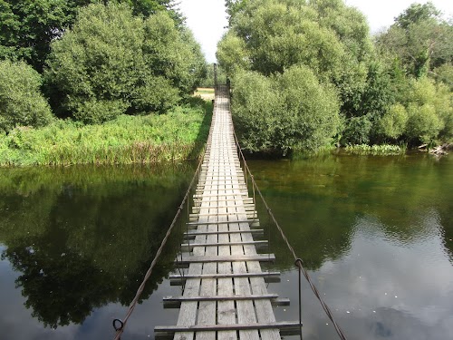 Monkey bridge