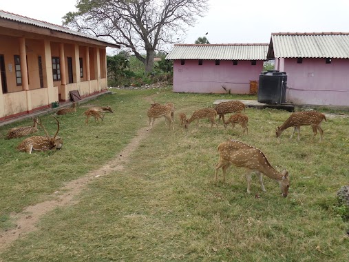 Sangamitta Buddhist Pilgrims Rest, Author: chathura hemanga