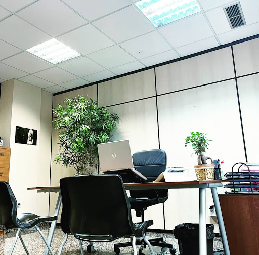 Ana Isabel Schwartz Gutiérrez