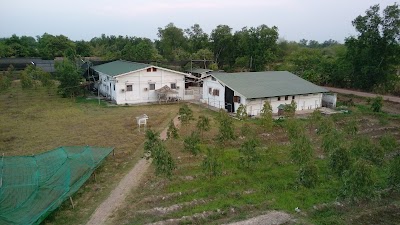 Photos of Eucalyptus Agro for Science Co Ltd Office