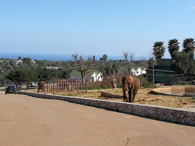 Zoosafari Fasanolandia
