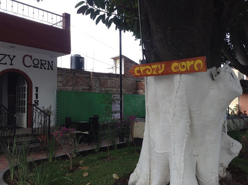 crazy corn Gallery - Mexico