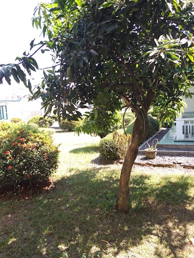 Photos of PT PUSRI PALEMBANG , GPP KARANGANYAR