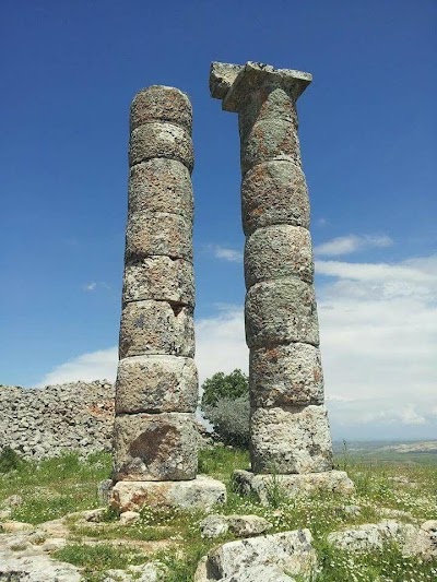 Dikilitaş (Sesönk)