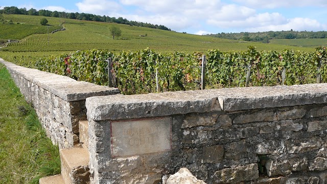 Domaine Romanée Conti