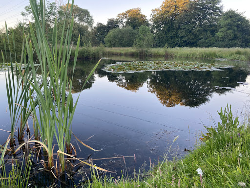 Manor House Cottage Fishery - Private Site - Thumbnail