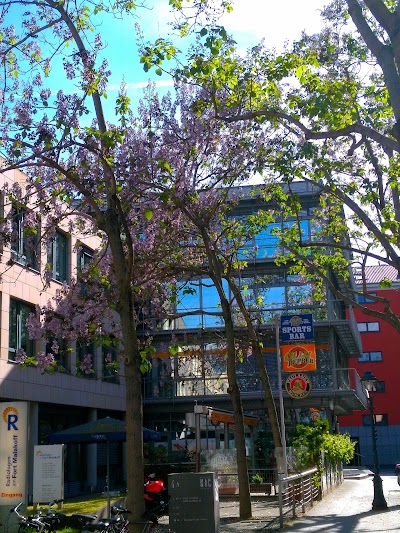 Photos of Chilli Pepper Rock Cafe