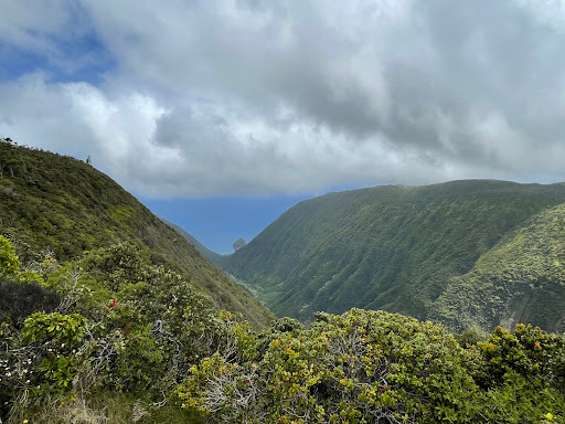 Maunahui-Makakupa'ia Trail Head
