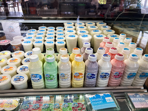 Freezy Cow