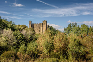 Photo n°7 de Les vignerons de Saint-Dézéry à Saint-Dézéry (Cave à vins)