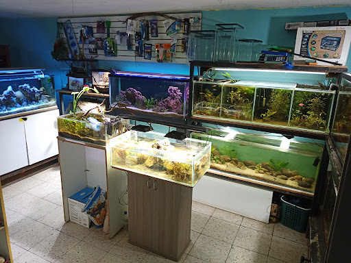 Acuario Ambientz - Thumbnail