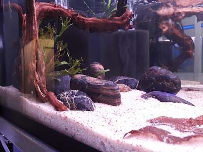 Photos of aspetshop