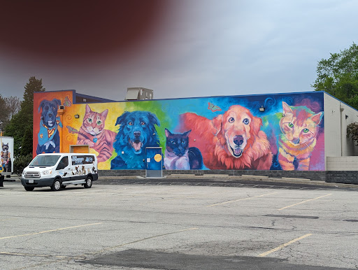 Humane Ohio - Visual