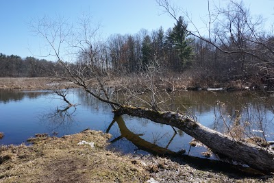 Photos of Stony Creek Metropark