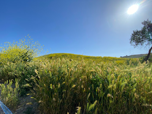 Grand Avenue Trail - Thumbnail