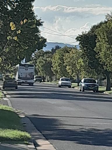 Martin's Albury - Thumbnail