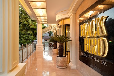 Black Bird Thermal & Spa Yalova Hotel