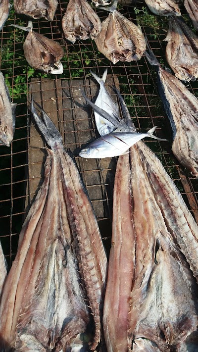 Photos of ANK Shalini Sea Food Centre